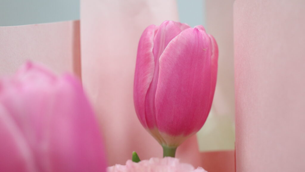 春風(fēng)十里，芳華如你 | 科信聯(lián)合開展女神節(jié)專題活動(dòng)